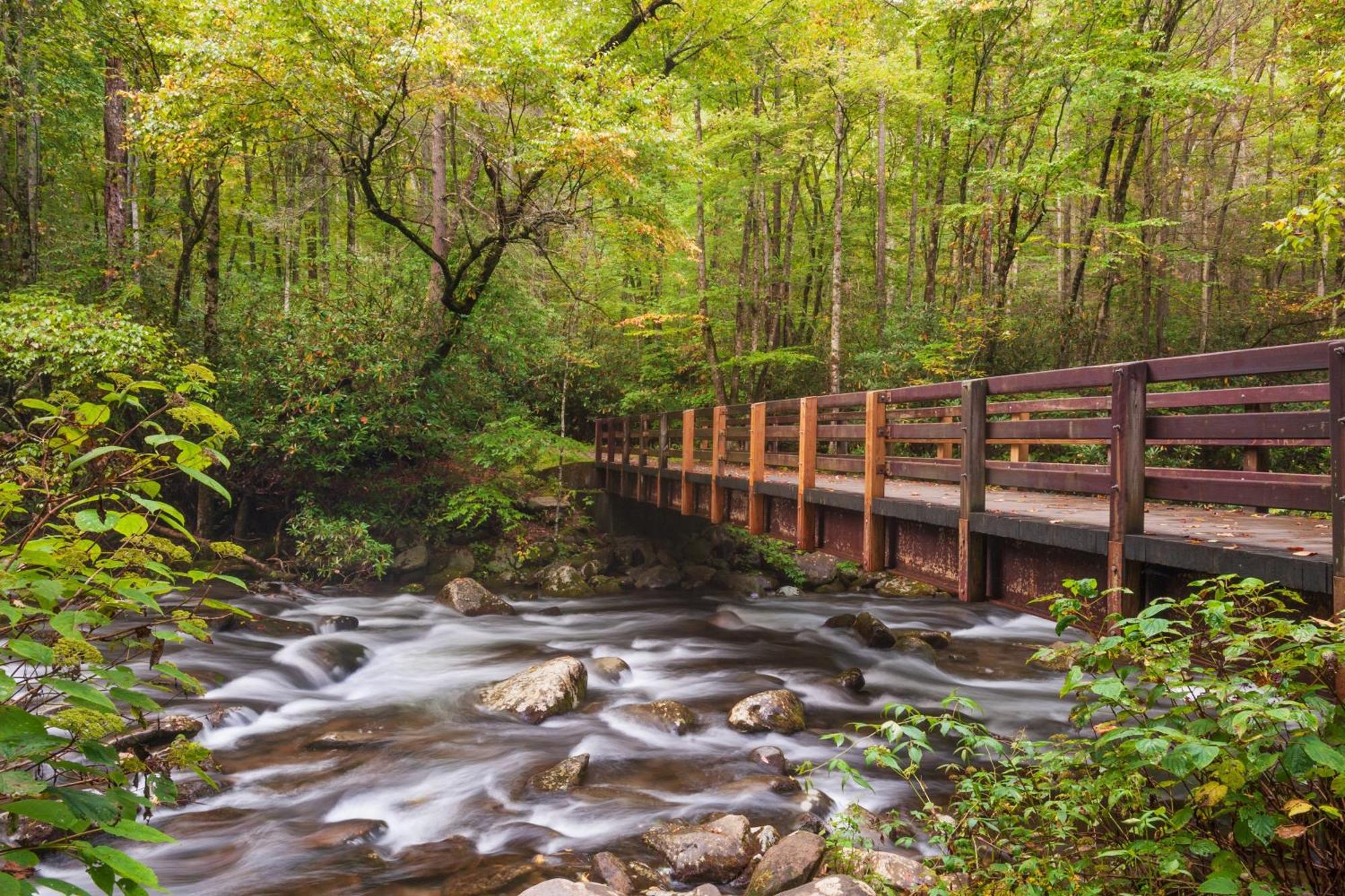 Whispering Winds, Hot Tub, Game Room, Wifi, 1089 Free Tickets Each Paid Day, Dollywood And More Гатлінбург Екстер'єр фото